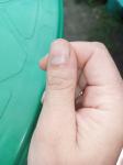 Полоска на ногте большой палец фото 4