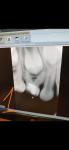 Рентген молочного зуба фото 1