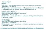 Помогите пожалуйста расшифровать результаты фото 1