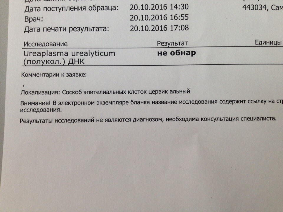 Узнать анализ по номеру. ПЦР 9 инфекций. ПЦР тест на хронические заболевания. Анализ ПЦР Ситилаб. ПЦР тест 2022.