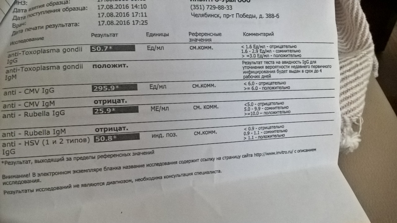 Toxoplasma gondii igg положительный. Антитела к токсоплазмозу g нормы. Результаты анализа на токсоплазмоз расшифровка. Исследование на токсоплазмоз. Токсоплазмоз Результаты.