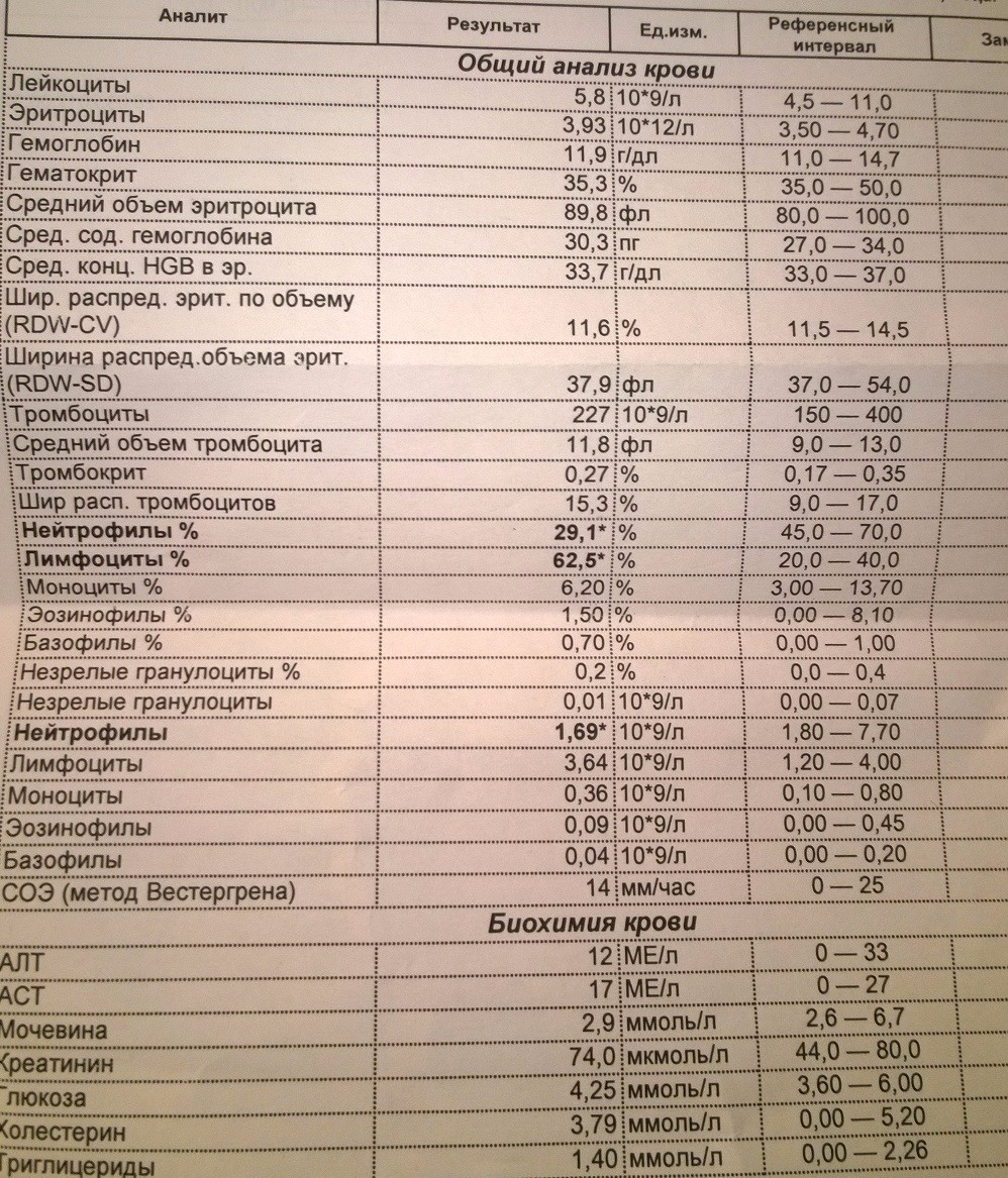 Повышенные гранулоциты в крови у мужчин. Незрелые гранулоциты. Анализ кровигранулоцыты. Гранулоциты в анализе крови норма. Норма гранулоцитов в крови у женщин.